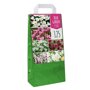 Bloembollen tas Roze & Wit Mix (125 stuks)
